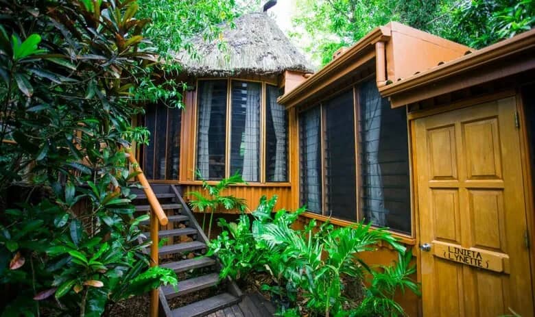 Garden Tropical Bure - image