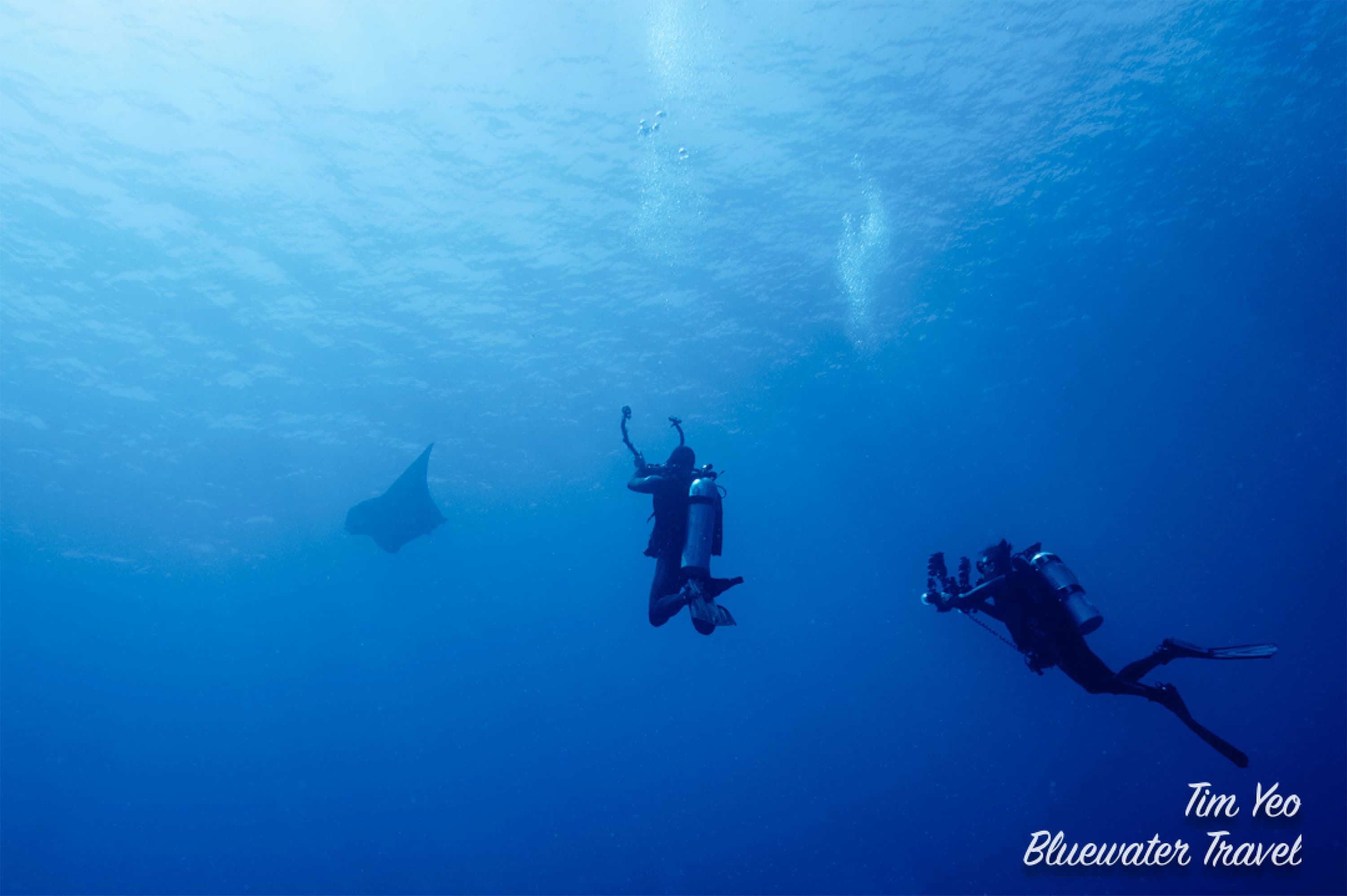 Underwater view of a reef