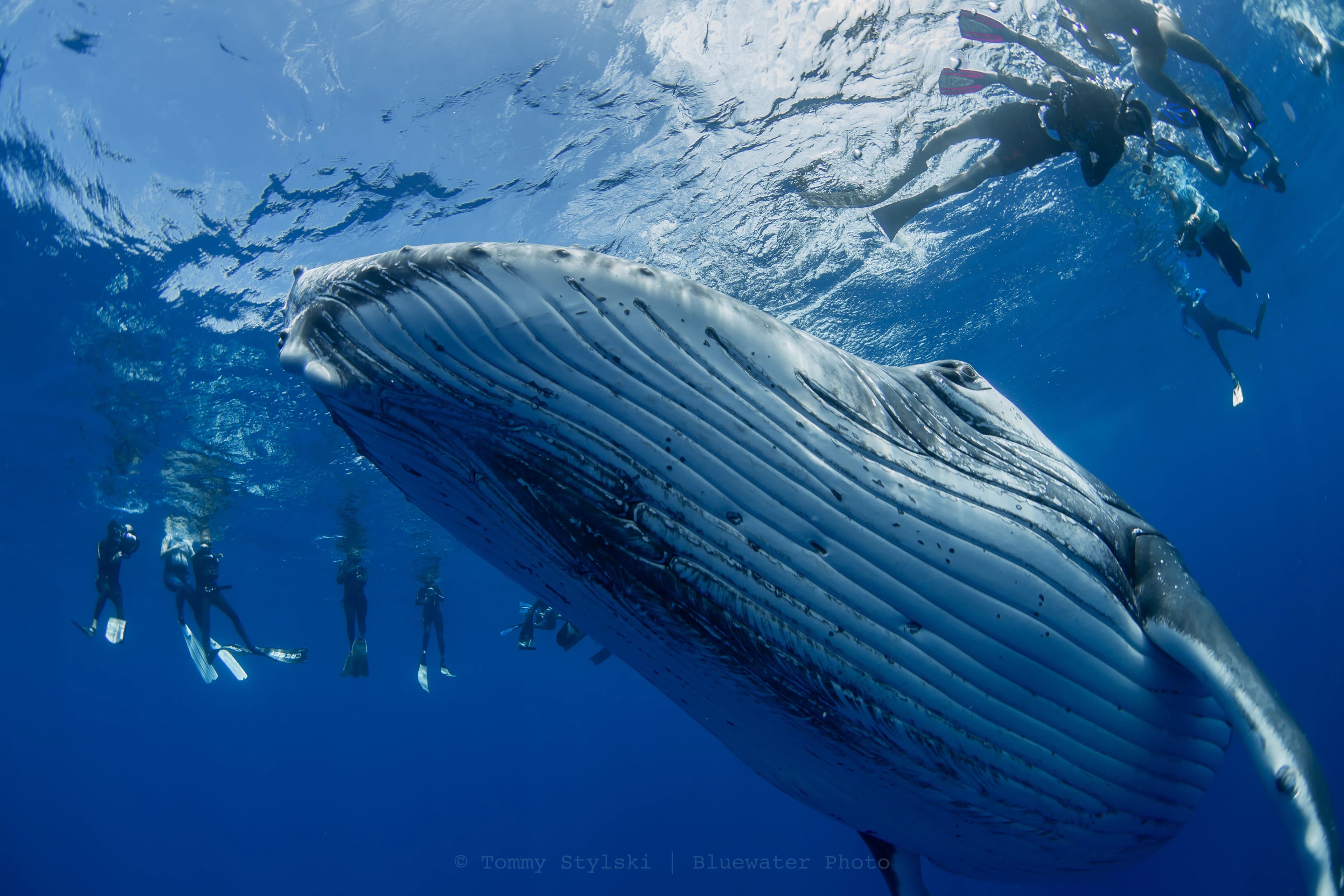 Saba; St Kitts & St Eustatius