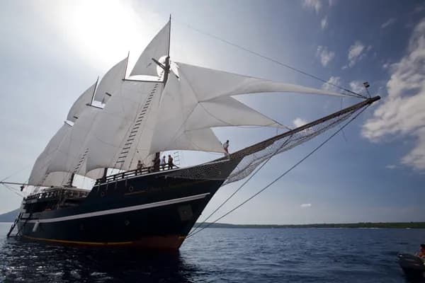 Dewi Nusantara - image