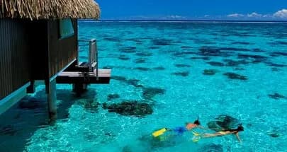 Guests snorkeling in front of the resort