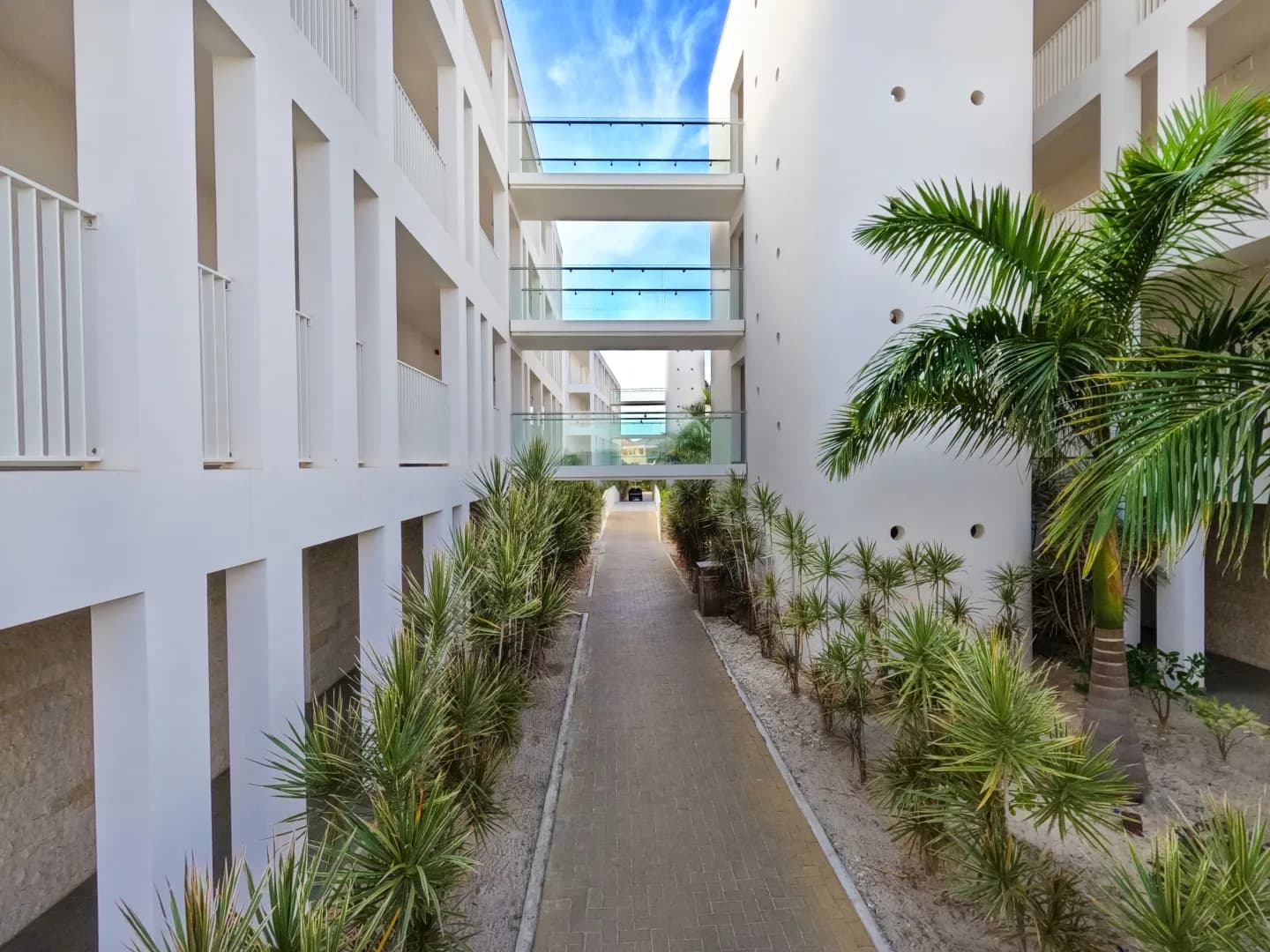 Chogogo Dive & Beach Resort Bonaire