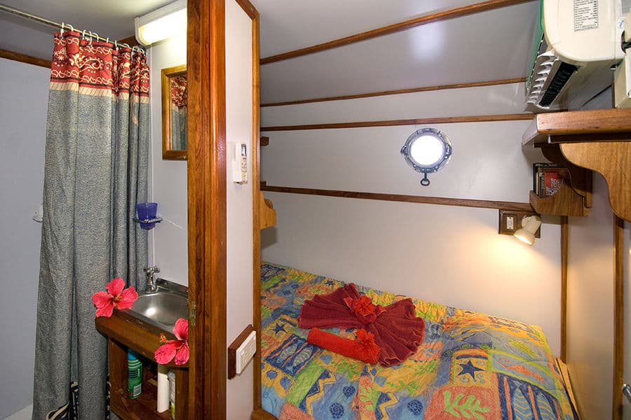 Large Single Cabin 5 Lower Deck - image
