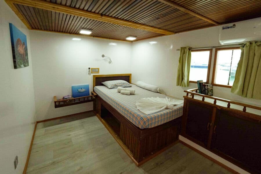 Double Upper Deck - image