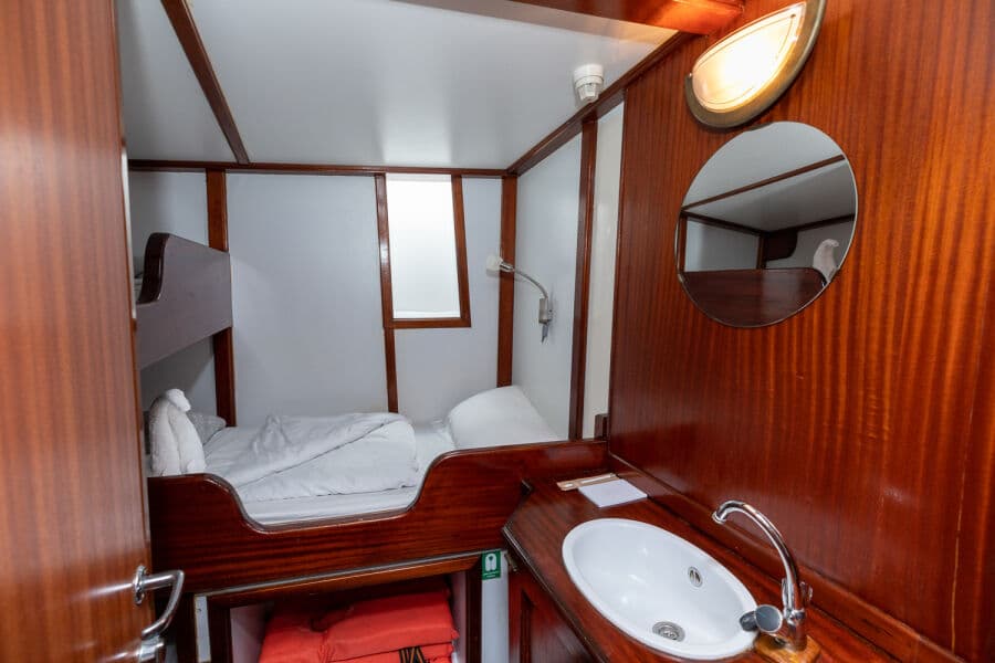 Twin (Cat B) Lower Deck - image