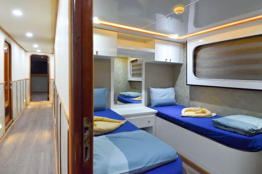Twin-bed cabin Lower Deck - image