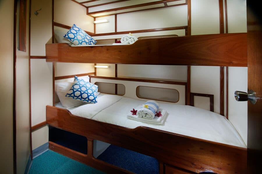 Standard Single Lower Deck - image