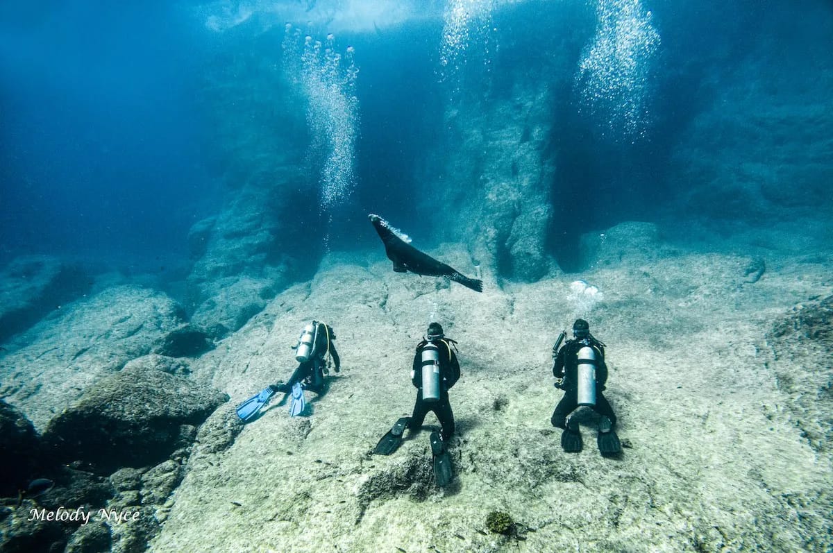 La Concha Resort - image