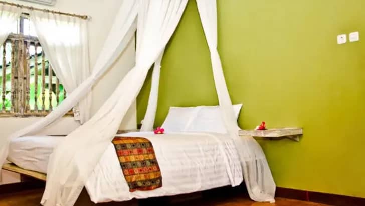 Superior Double - image Superior Double - image