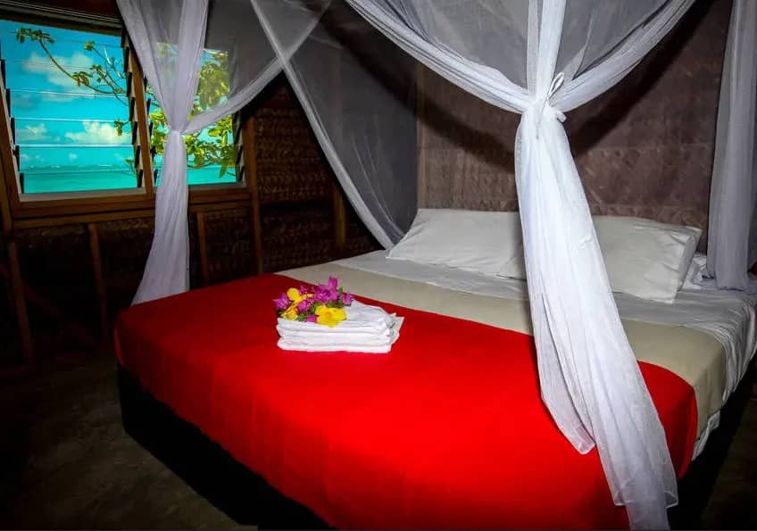 Double Fale - image Double Fale - image