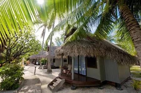 Premium Garden Bungalow - image Premium Garden Bungalow - image