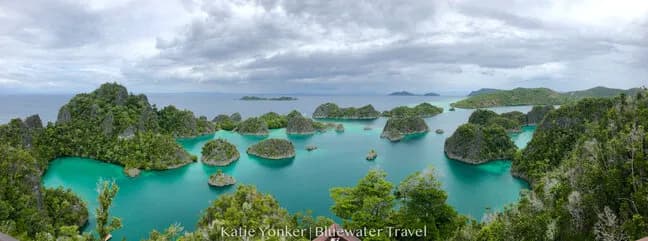 Raja Ampat Trip Report - image Raja Ampat Trip Report - image