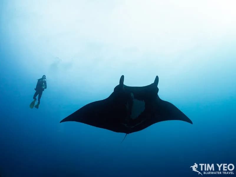 Eco Socorro Recap Dec 2019 - image Eco Socorro Recap Dec 2019 - image