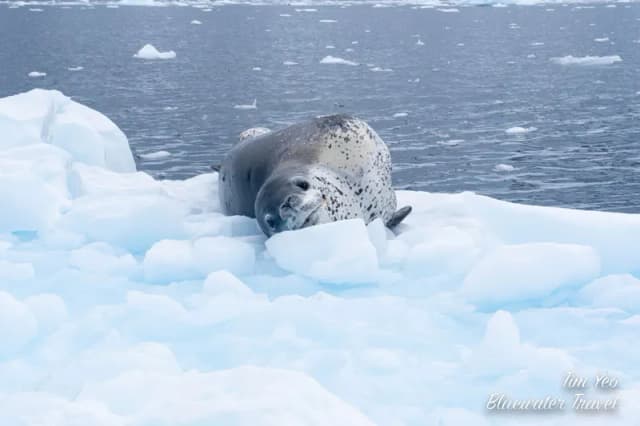 Antarctica 2023 Trip Recap Antarctica 2023 Trip Recap