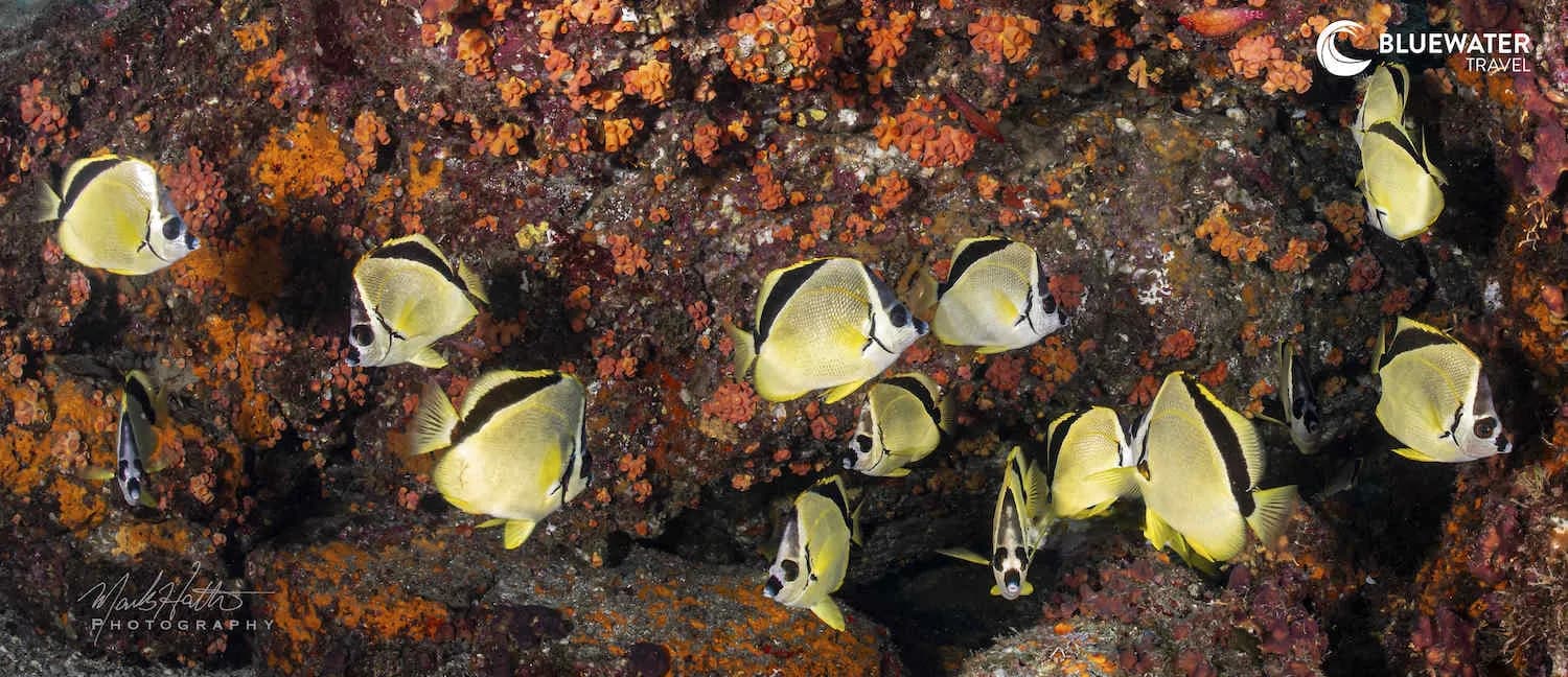 Explore Baja Trip Report October 2024 - image Explore Baja Trip Report October 2024 - image