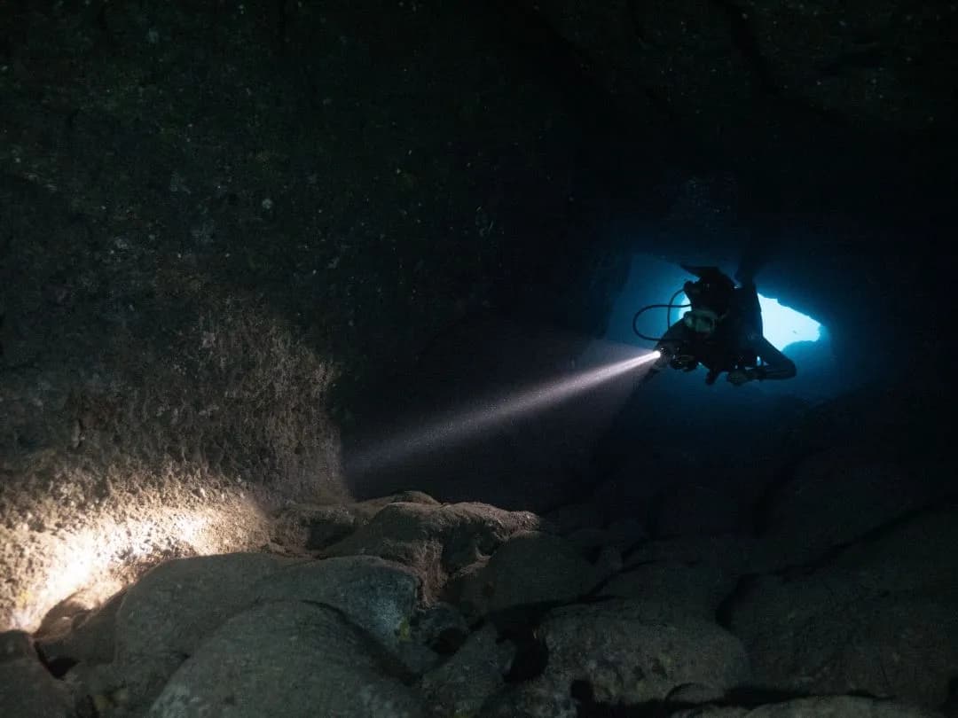 Best Scuba Diving in Malta - image Best Scuba Diving in Malta - image