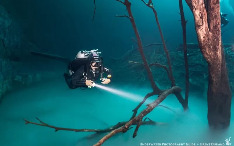 Best Scuba Diving in Riviera Maya, Yucatan - image Best Scuba Diving in Riviera Maya, Yucatan - image