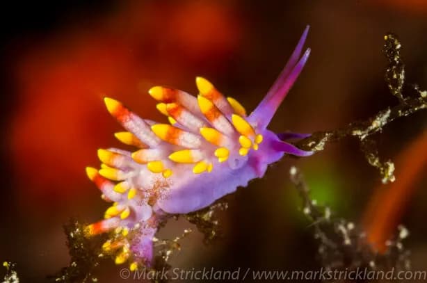 No alternative text provided No alternative text provided