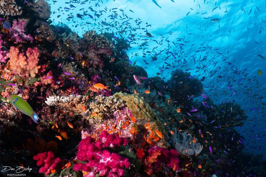 Carousel - image Carousel - image