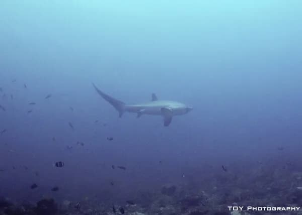 No alternative text provided No alternative text provided