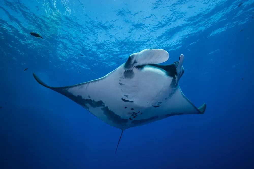 Carousel - image Carousel - image