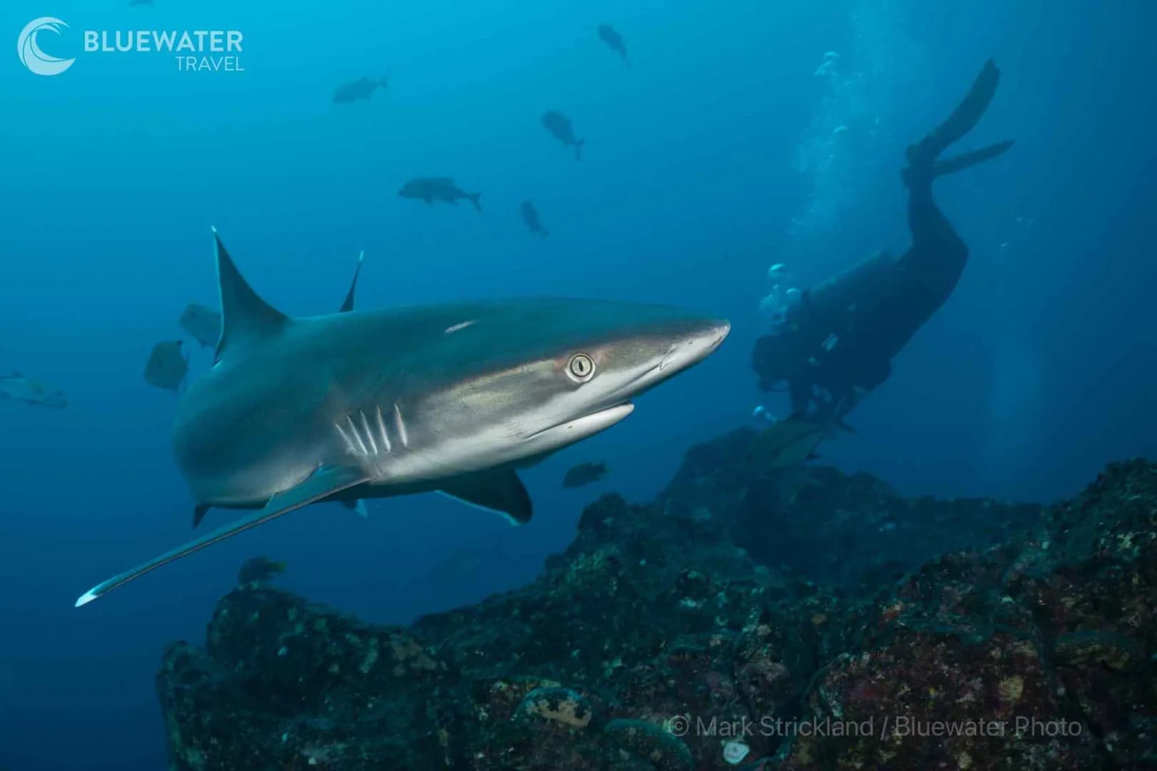 Socorro Islands Socorro Islands