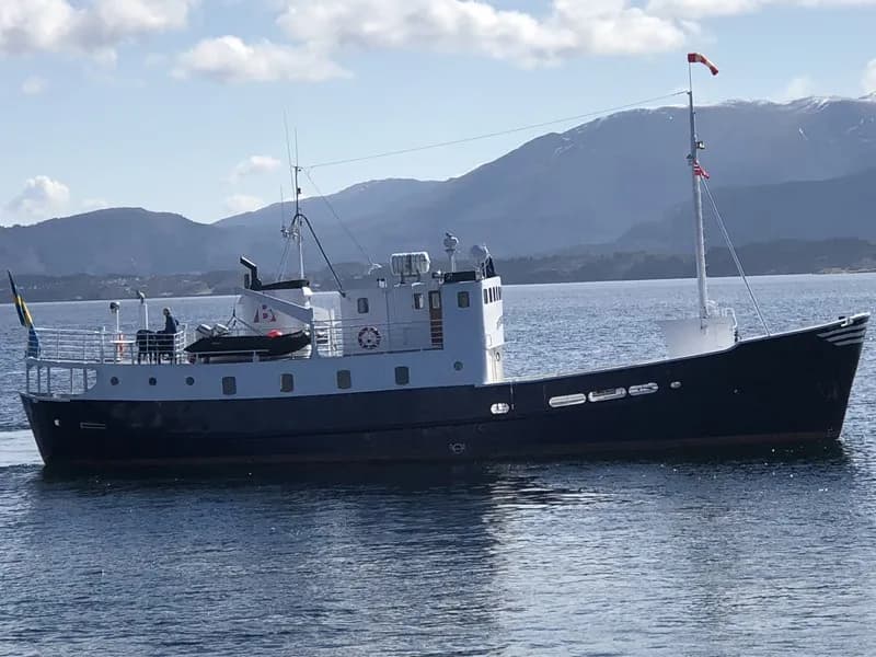 Antarctica Antarctica