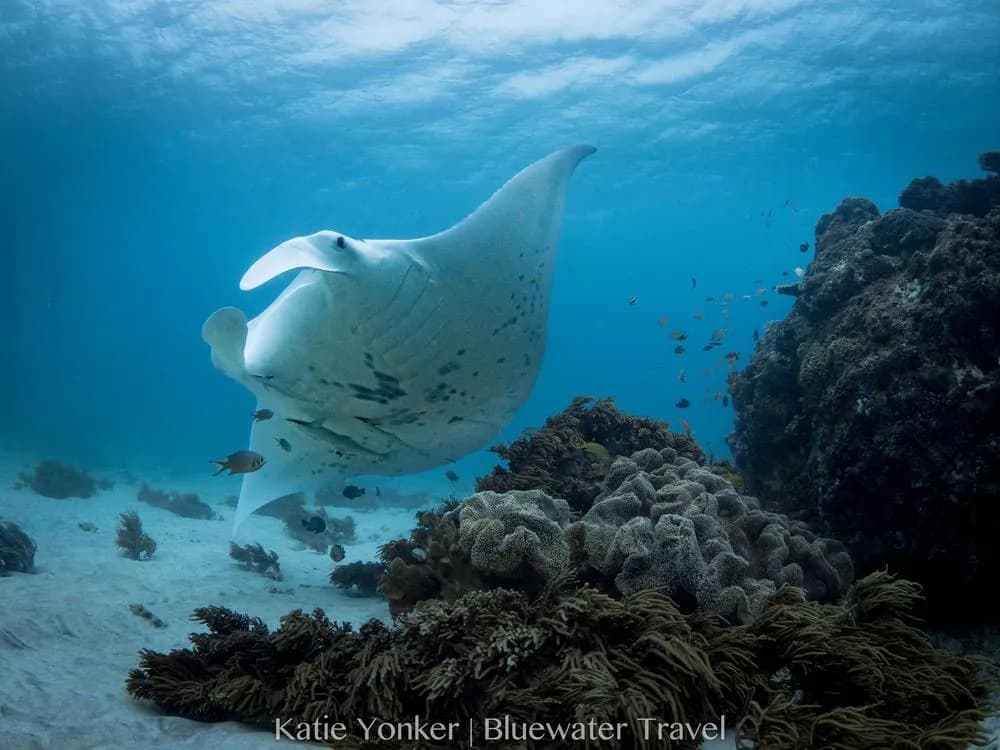 No alternative text provided No alternative text provided