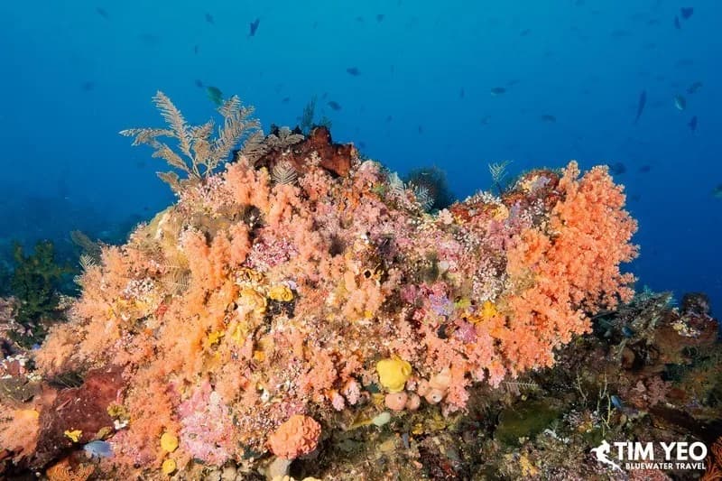 No alternative text provided No alternative text provided