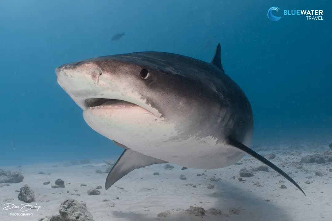 No alternative text provided No alternative text provided