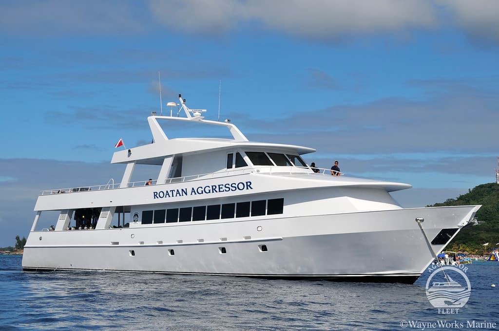 Roatan Aggressor - image Roatan Aggressor - image