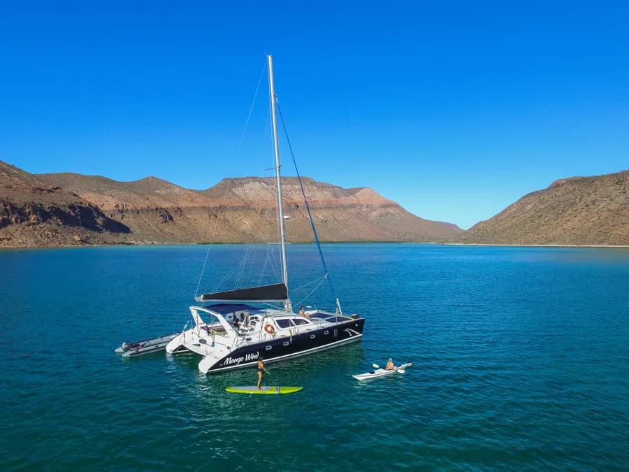 Nautilus Mango Wind - image Nautilus Mango Wind - image