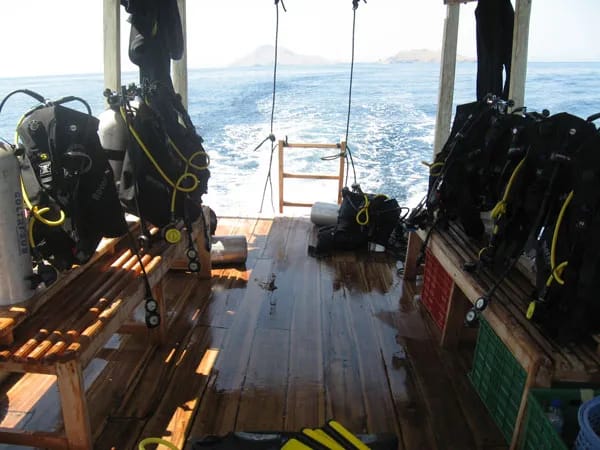 Komodo Resort & Diving Club - image Komodo Resort & Diving Club - image