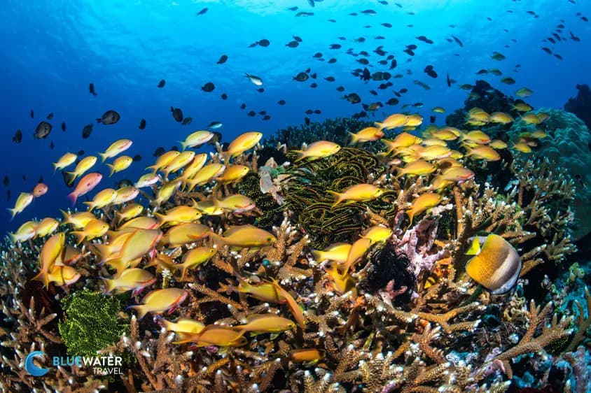 No alternative text provided No alternative text provided