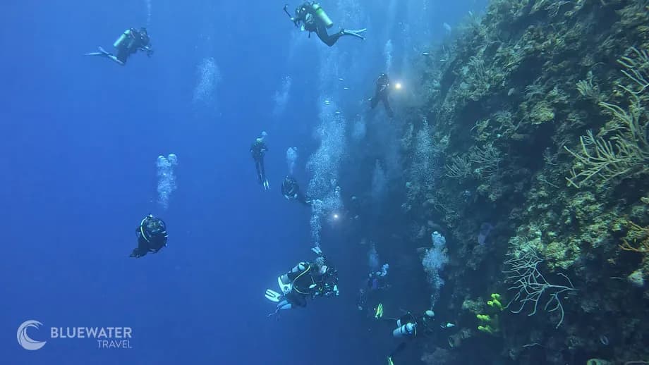 Cayman Islands Cayman Islands