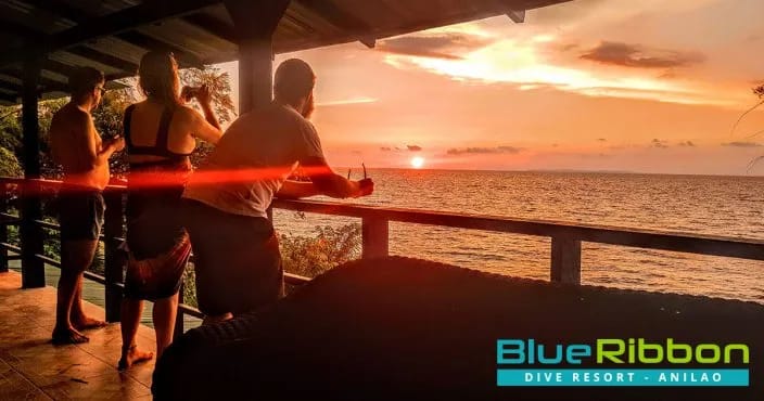 Blue Ribbon Dive Resort - image Blue Ribbon Dive Resort - image