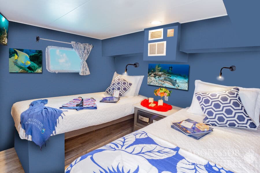 Deluxe Stateroom Lower Deck - image Deluxe Stateroom Lower Deck - image