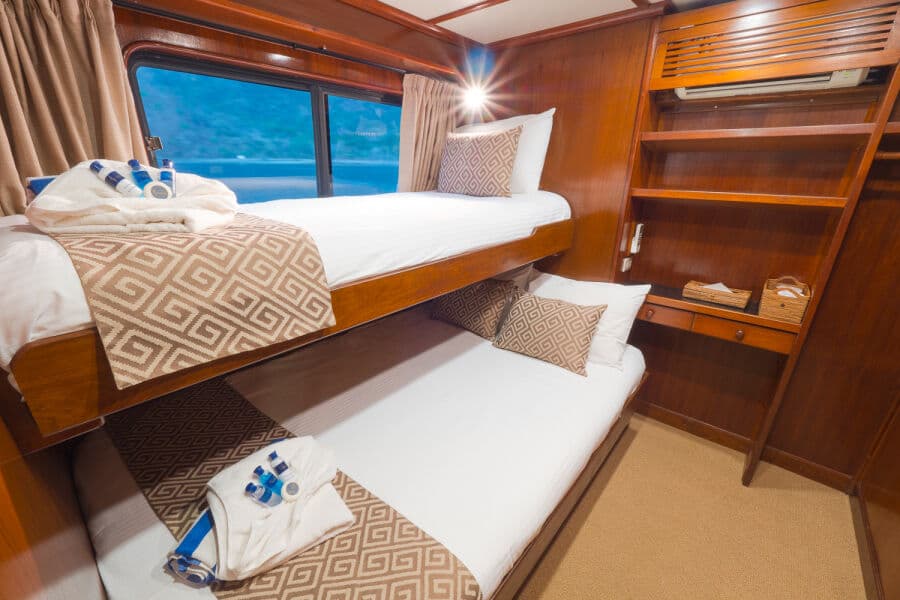 Deluxe Main Deck - image Deluxe Main Deck - image