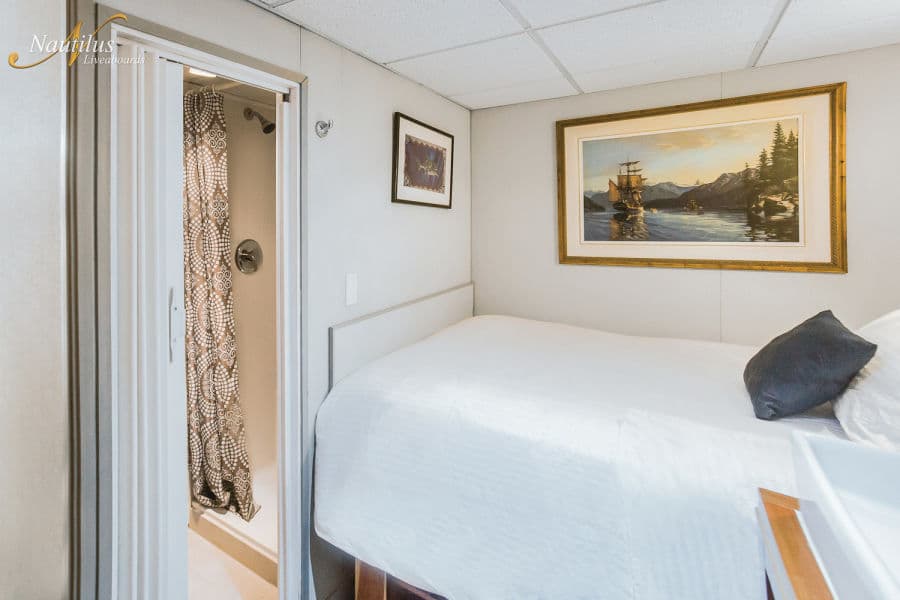 Single Stateroom Lower Deck - image Single Stateroom Lower Deck - image