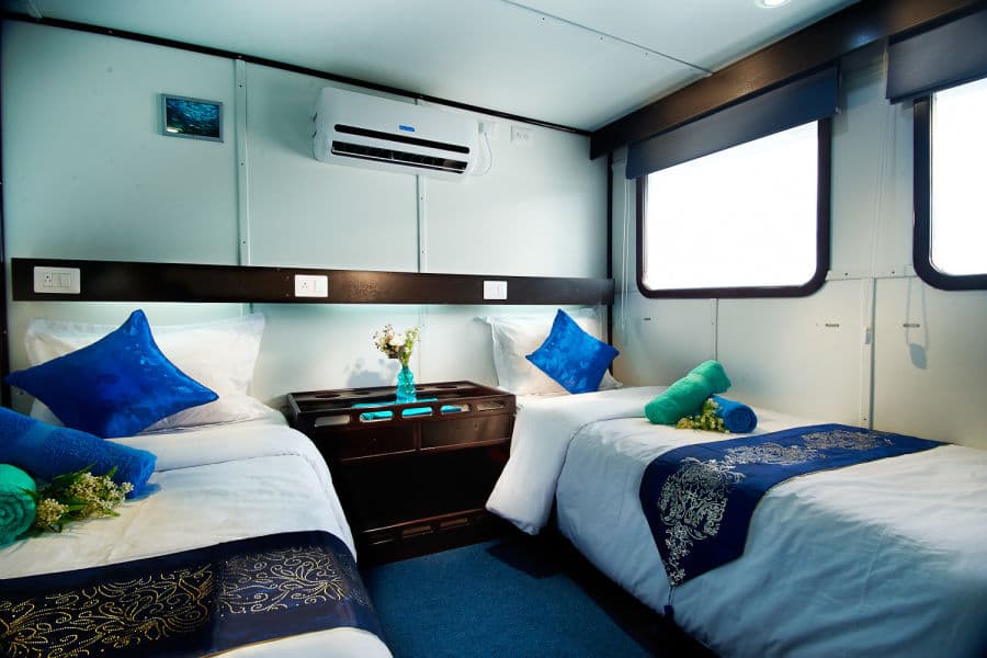 Premium Twin/Double Share Upper Deck - image Premium Twin/Double Share Upper Deck - image