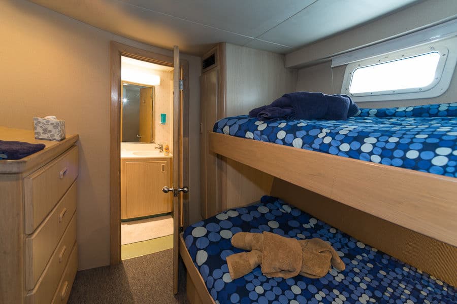 Stateroom Lower Deck - image Stateroom Lower Deck - image
