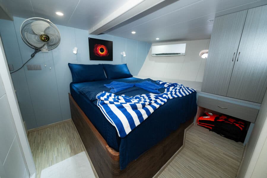 Double Lower Deck - image Double Lower Deck - image