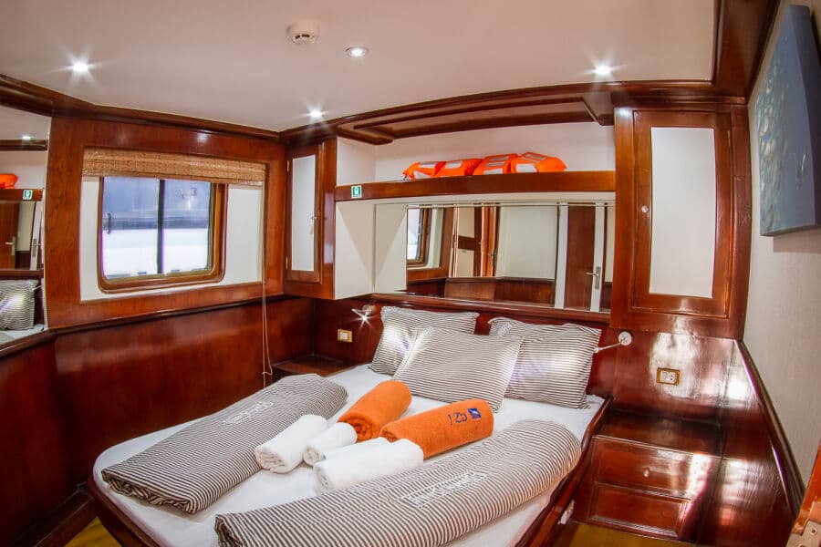 Double Upper Deck - image Double Upper Deck - image