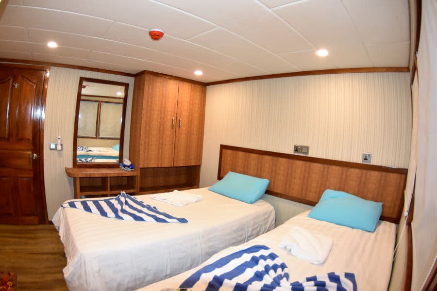 Double Lower Deck - image Double Lower Deck - image