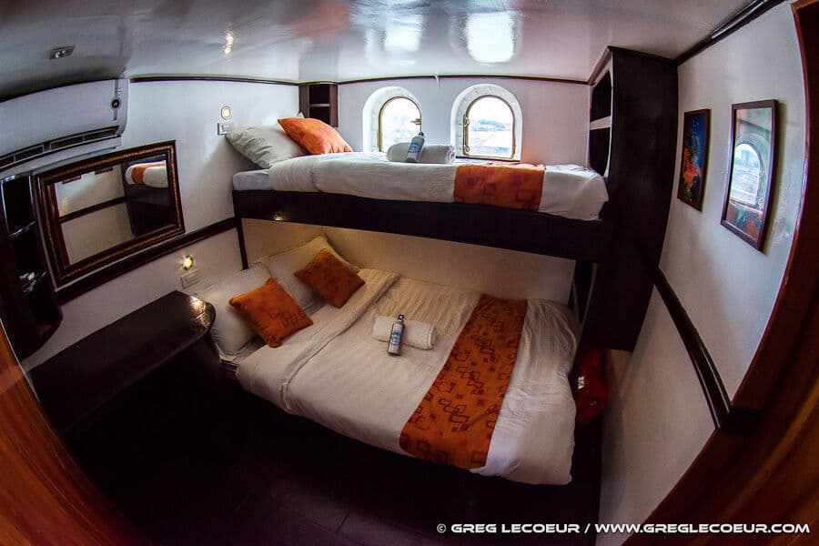 Standard First Deck Main Deck - image Standard First Deck Main Deck - image