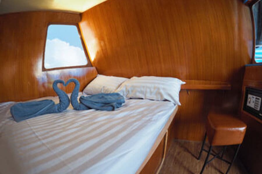 Deluxe Main Deck - image Deluxe Main Deck - image