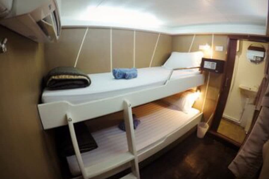 Standard Main Deck - image Standard Main Deck - image