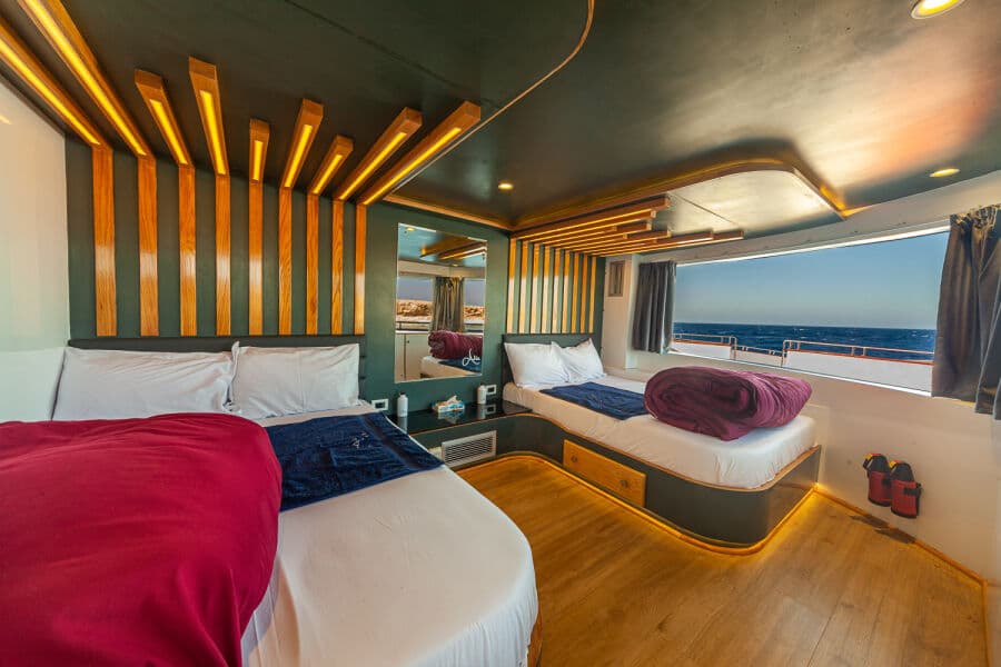 Deluxe Upper Deck - image Deluxe Upper Deck - image